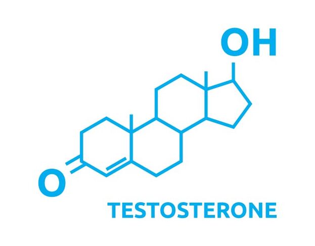 Povečanje testosterona po uporabi Eroboost